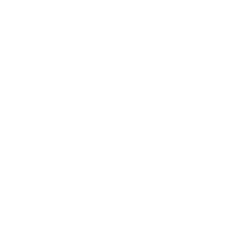 check icon white